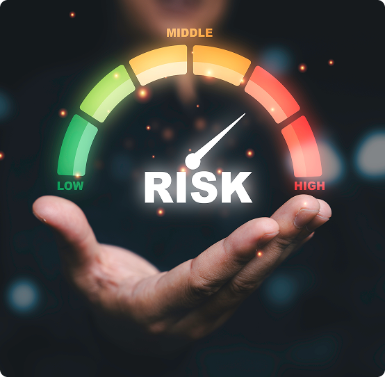 IT Risk Assessments
